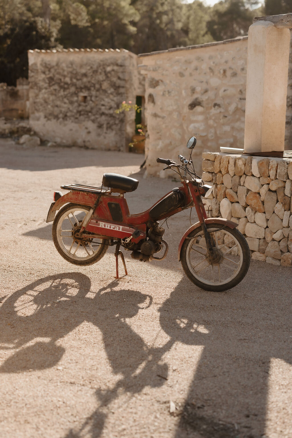 THE AWAKENING ° MIMI FIEDLER  ° FIFTY