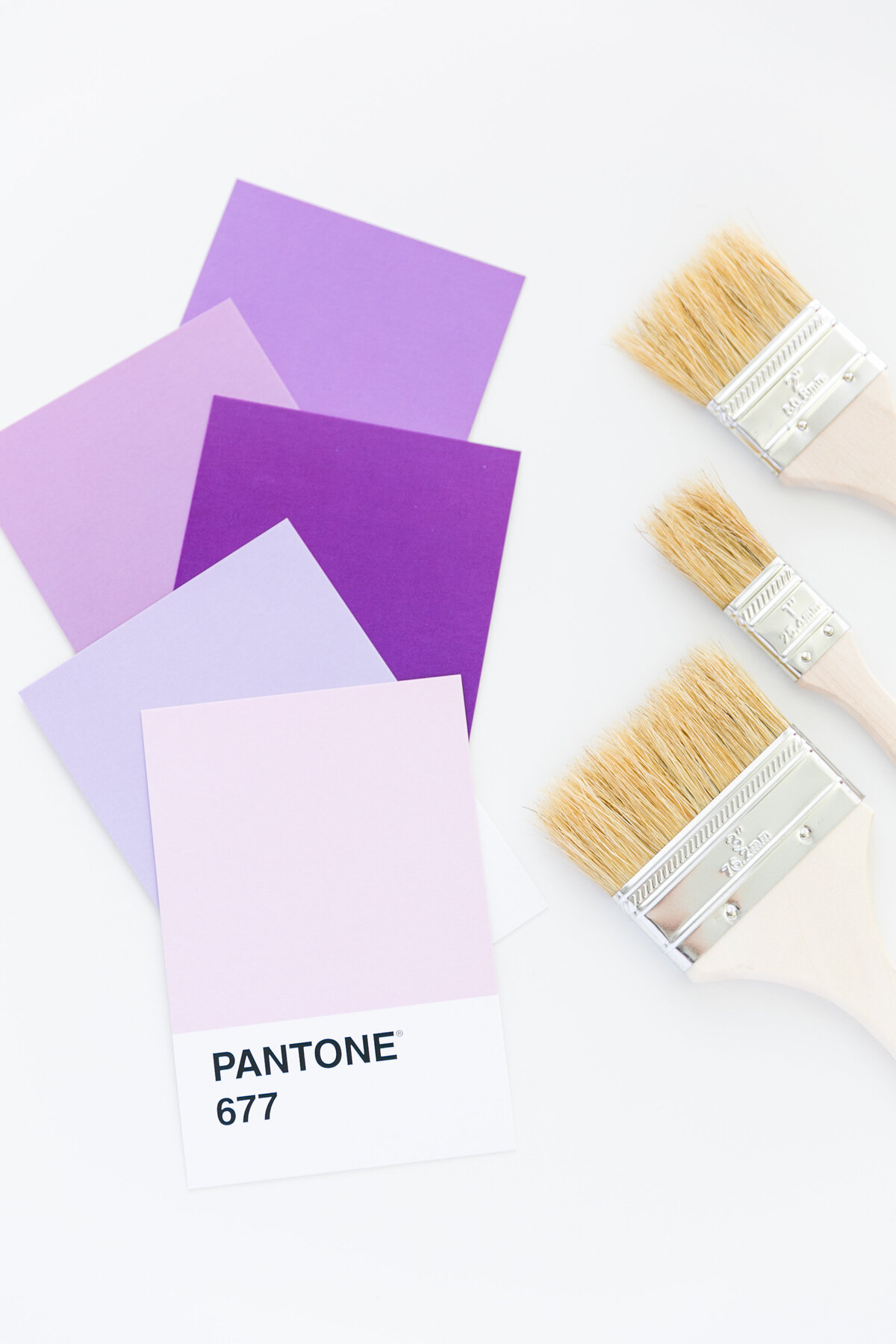 Chelsea P. stock images81