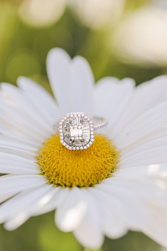 engagement-ring-on-white-daisy