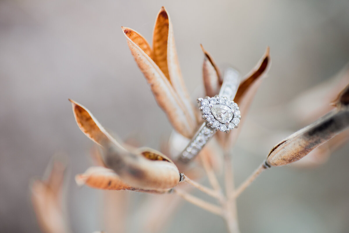 Marquette-LaRee-Payson-AZ-Photographer-34