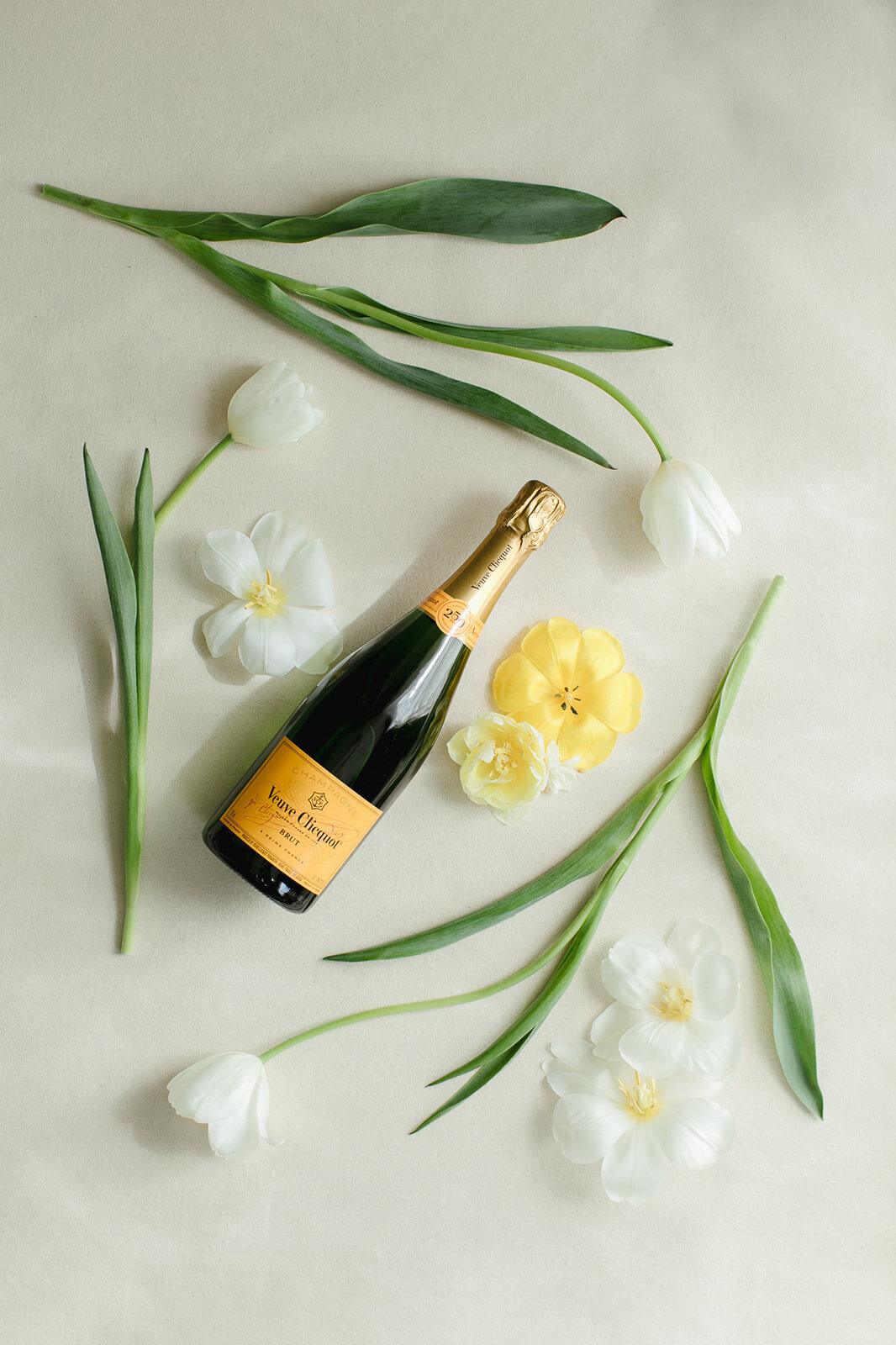 230305_JordanKatz_Spring_Urban_Microwedding-617
