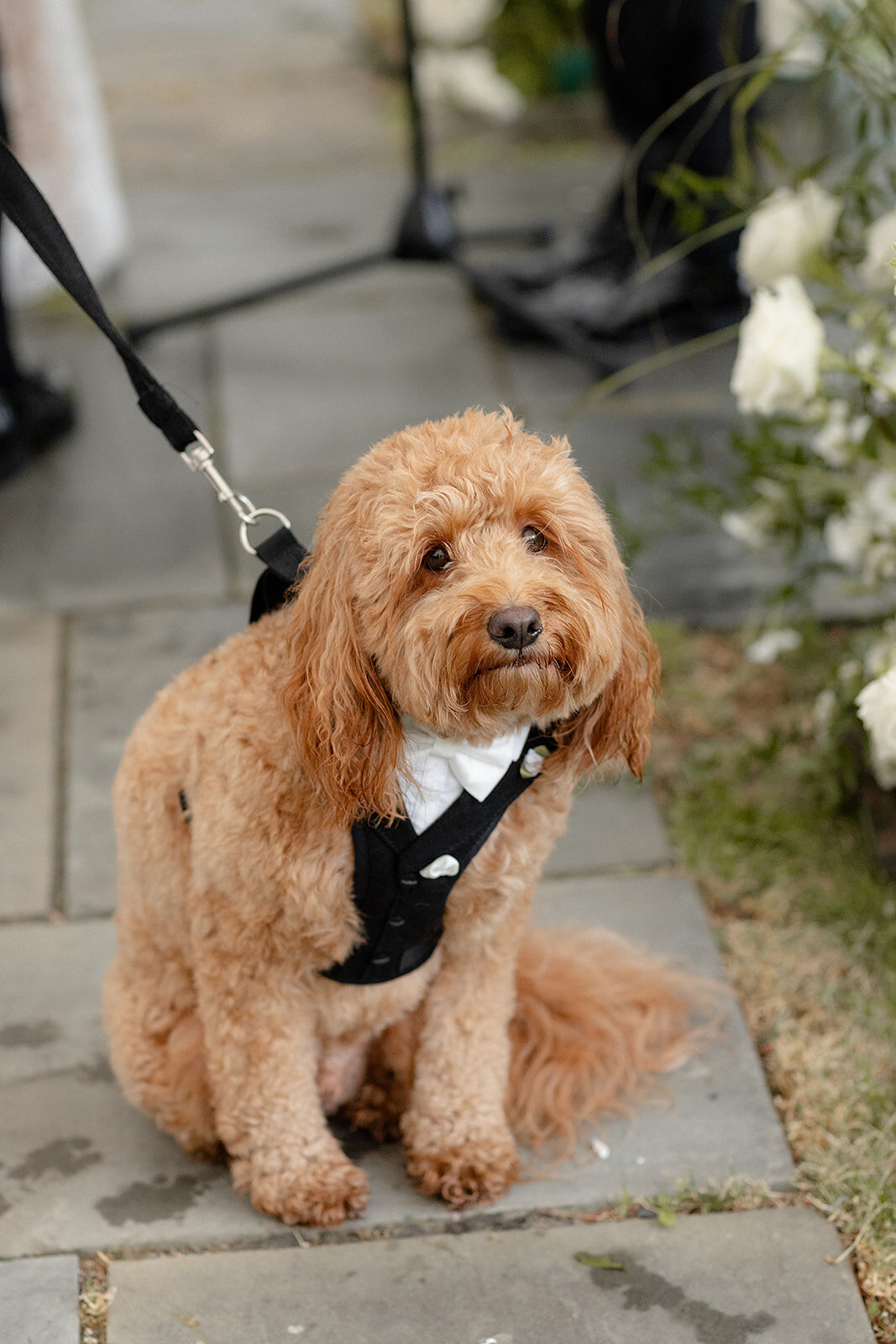 KateEdwardsWeddings_Irma&Mischa_WeddingFinals-683