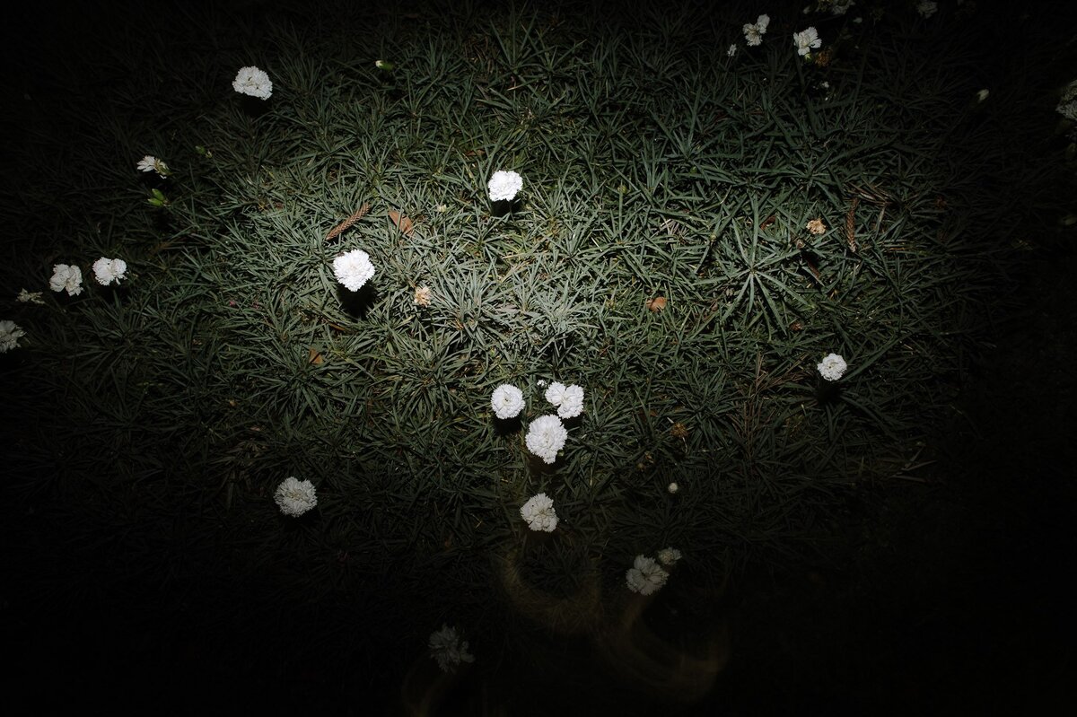 OL_Preview_0062