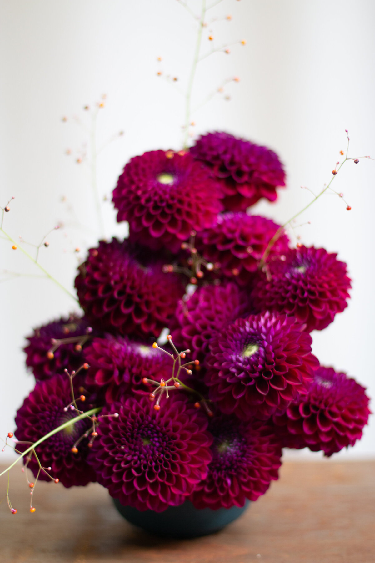 A bold, sculptured floral arrangement of purple dahlias and airy flower stems.