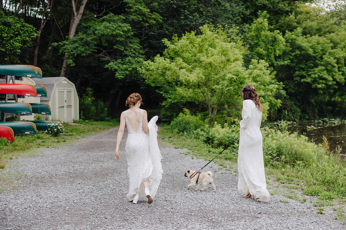 Brides walking dog along at Cornell University wedding