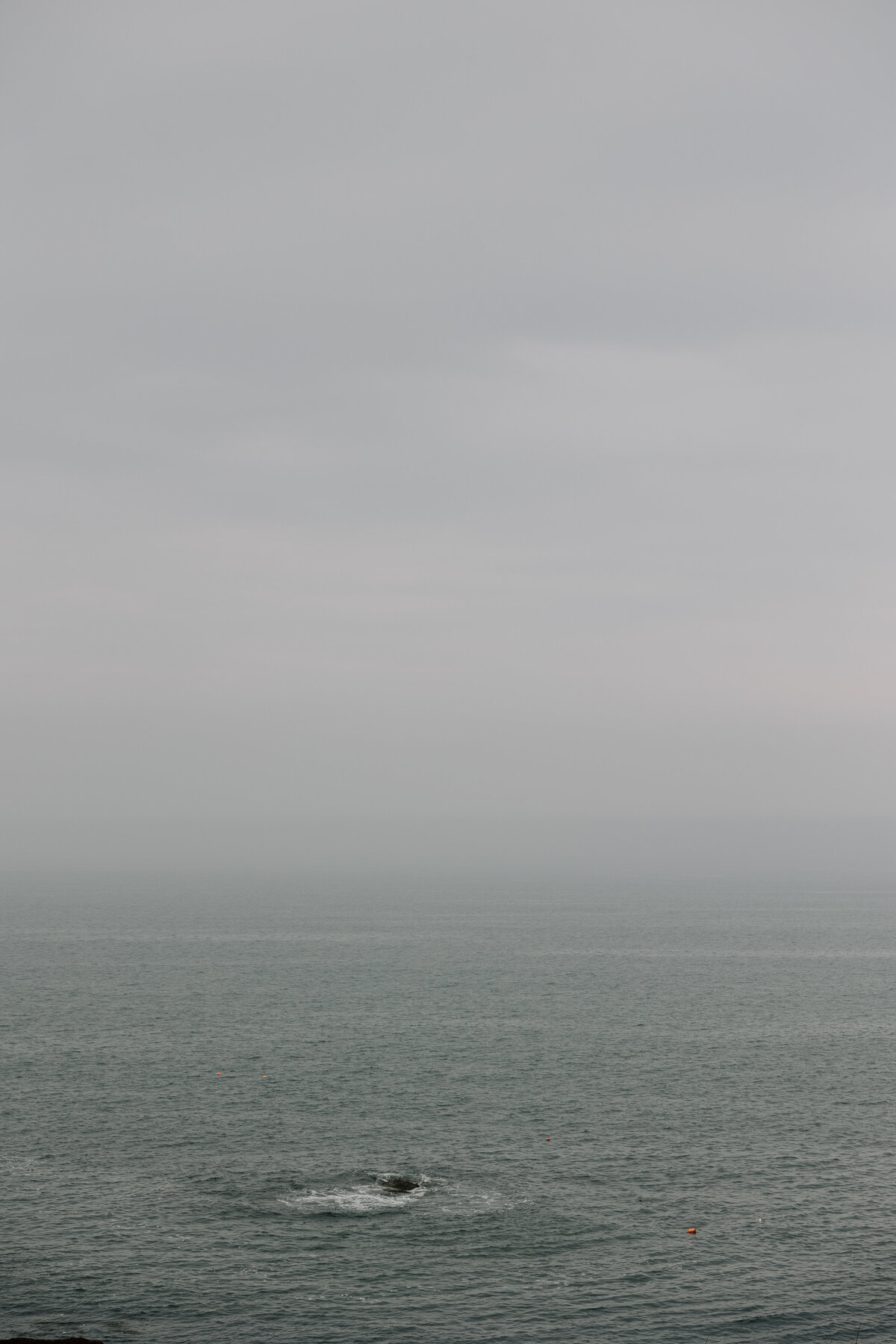 FQ8A6344