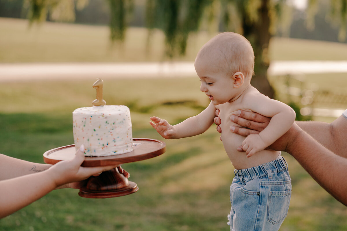 Milestone-Cake-Smash-Clinton-New-York-Santana-Block-Photography-88
