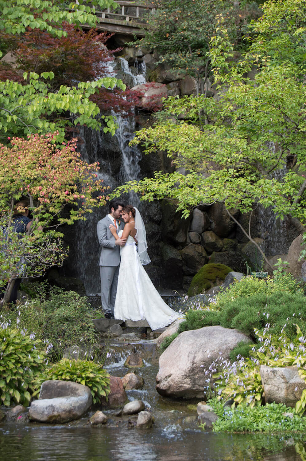 Anderson Japanese Gardens in the trees Rockford Wedding Photography