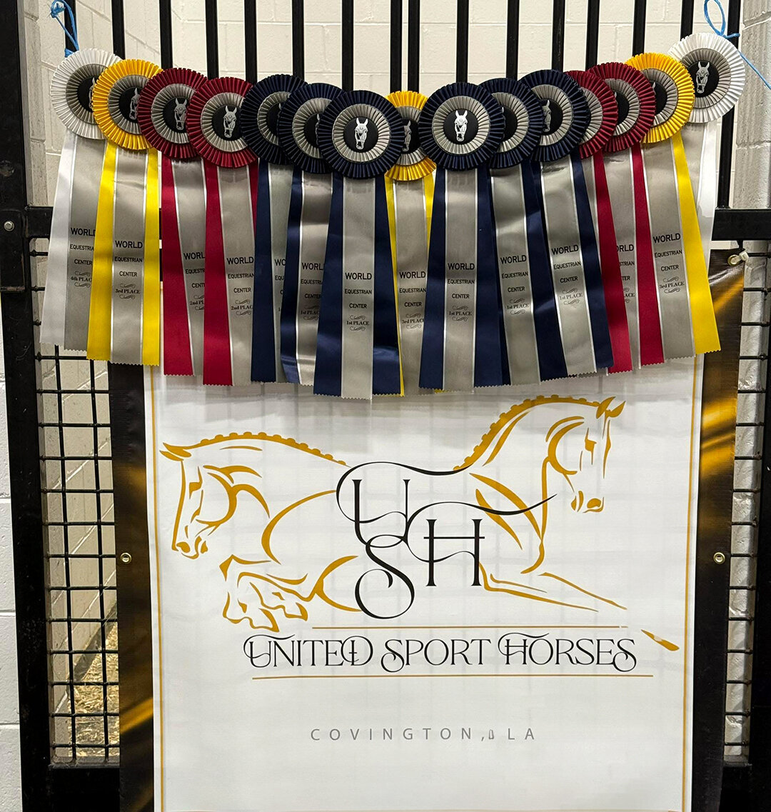 banner-sporthorses-lr