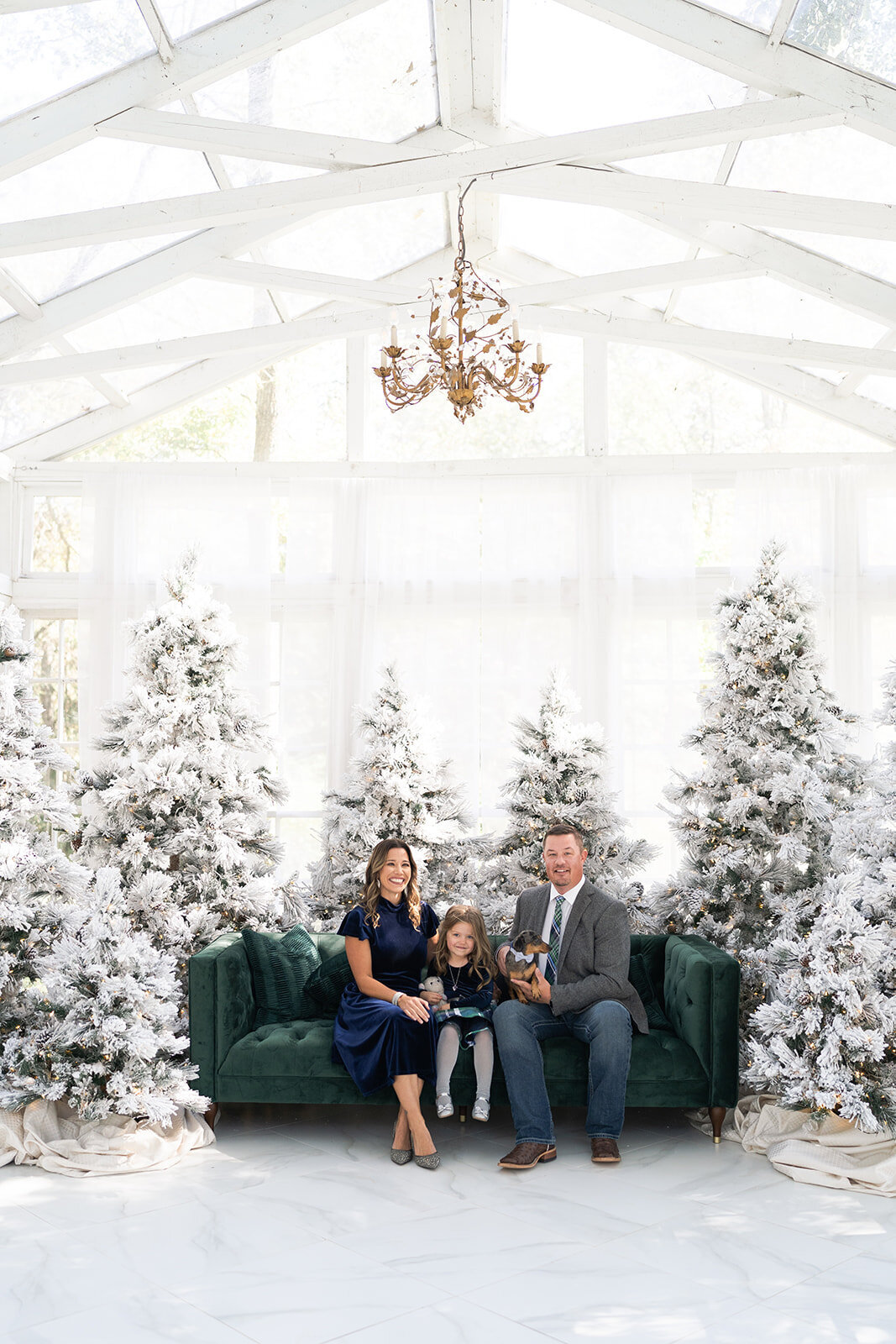 SwishandClickPhotography-ScheerChristmasPhotos-3_websize