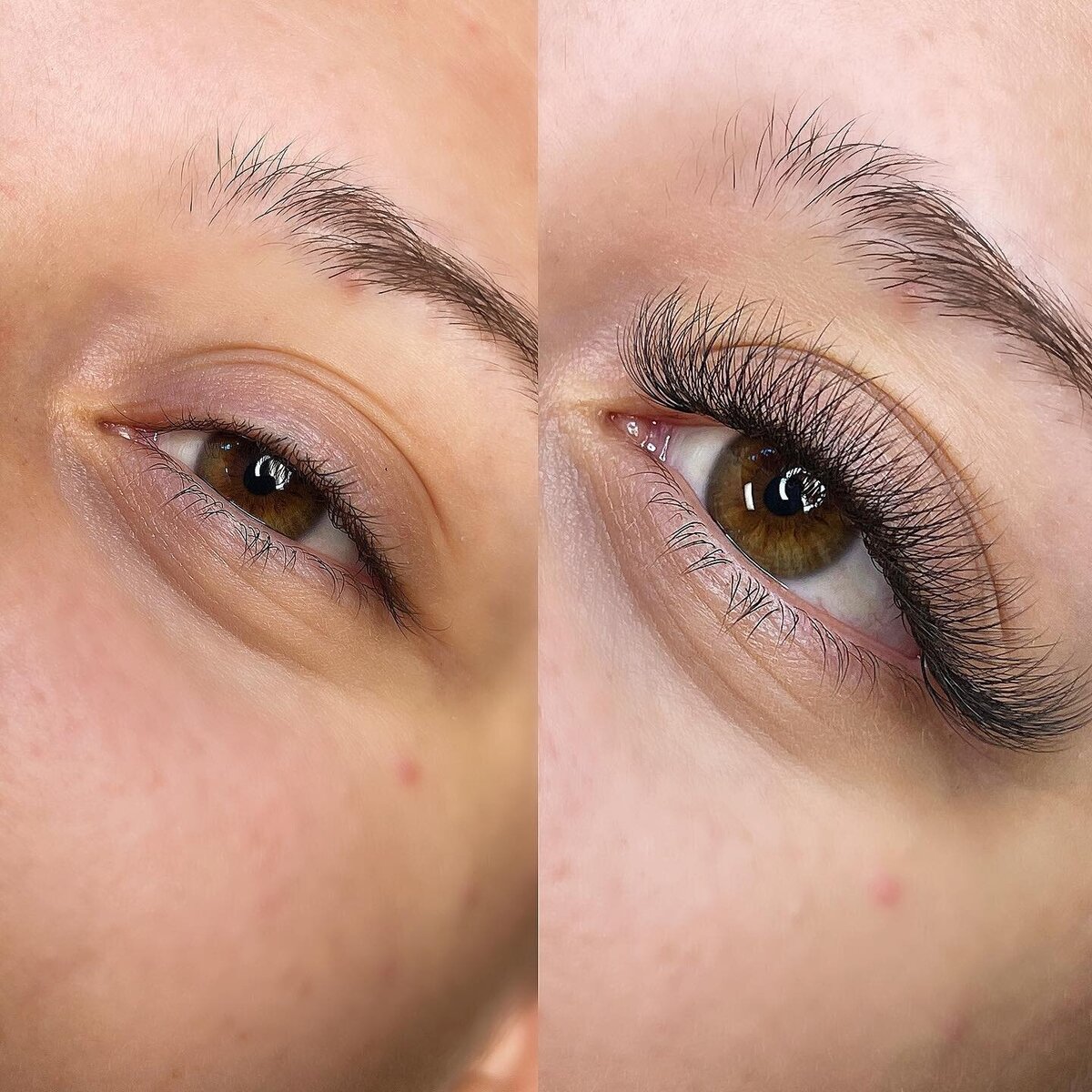 bandaf lash