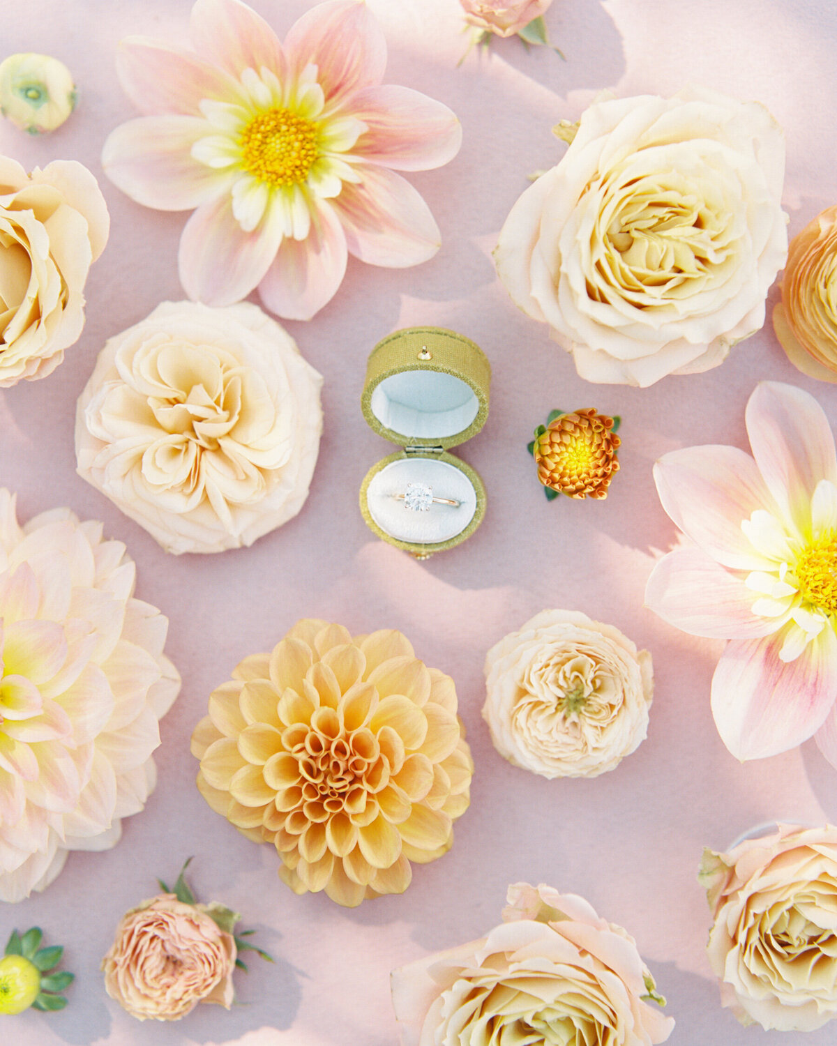 Emily March Photography Wilmington, North Carolina and Destination Wedding Engagement Photographer Heirloom Photography for Memorable Gatherings Light Airy Sentimental Imagery Images Weddings_Castle Hill Inn Wedding - 001