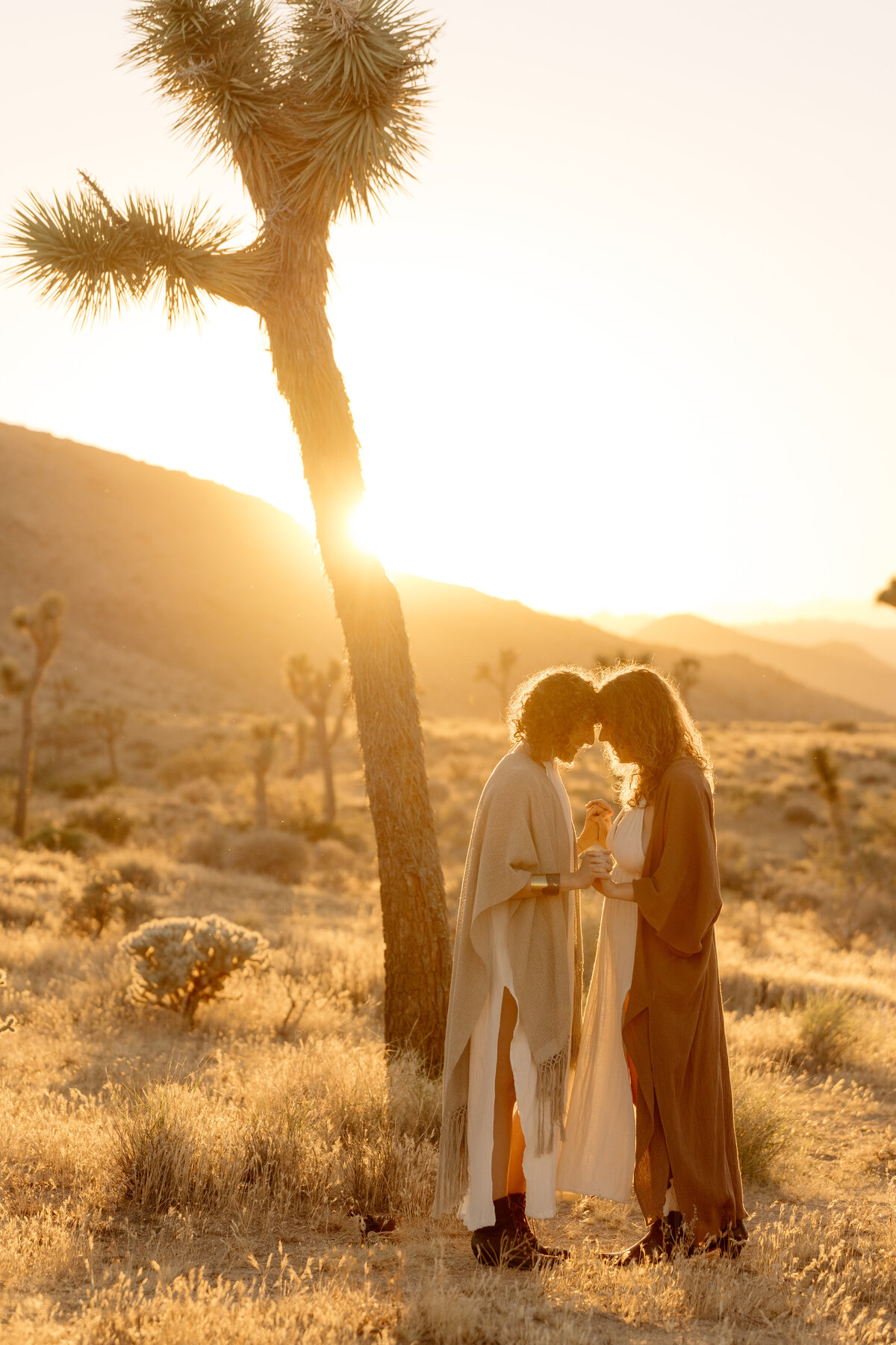 Joshua Tree Photographer mattie oneill photography