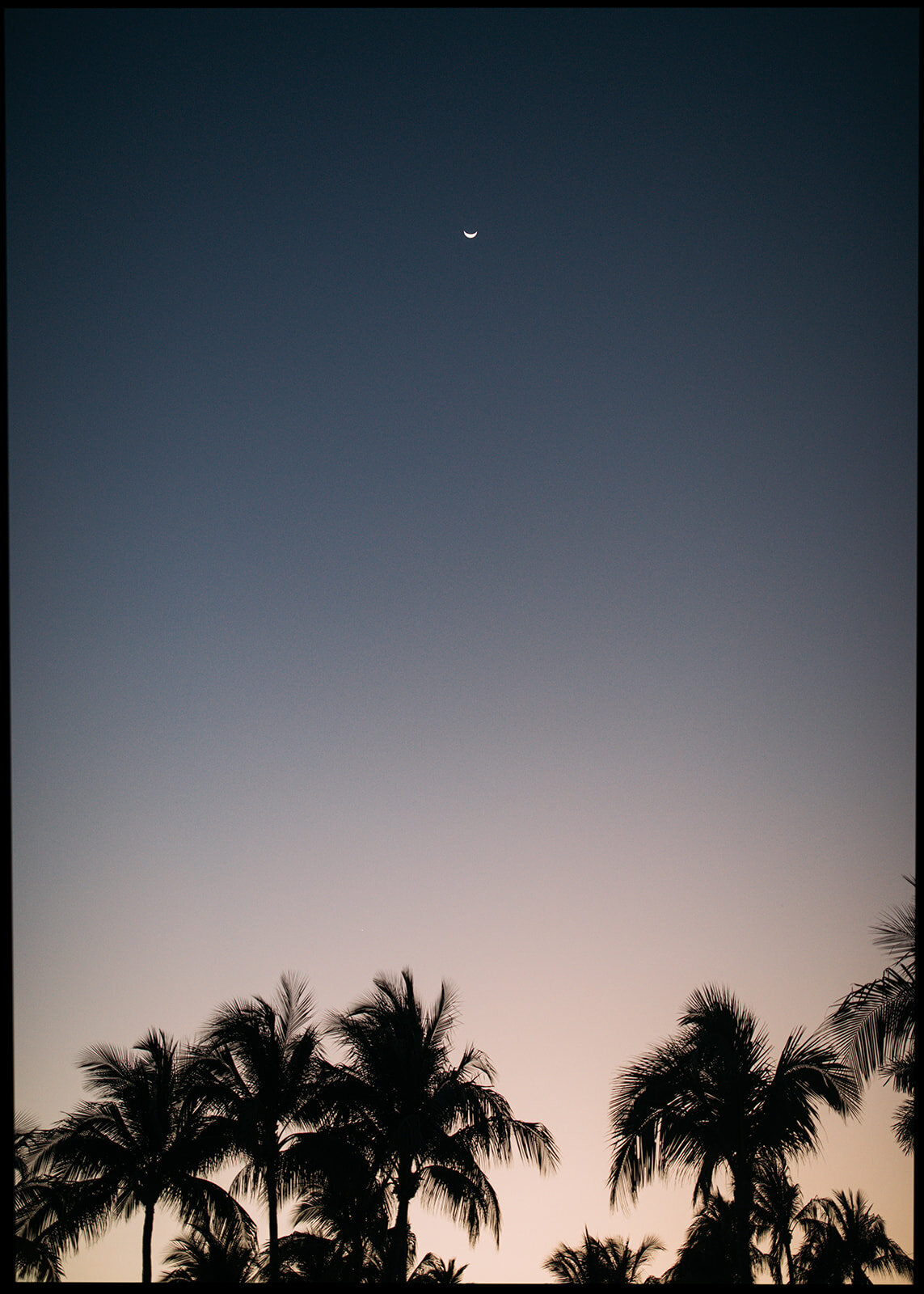 Casa Marina Resort Wedding