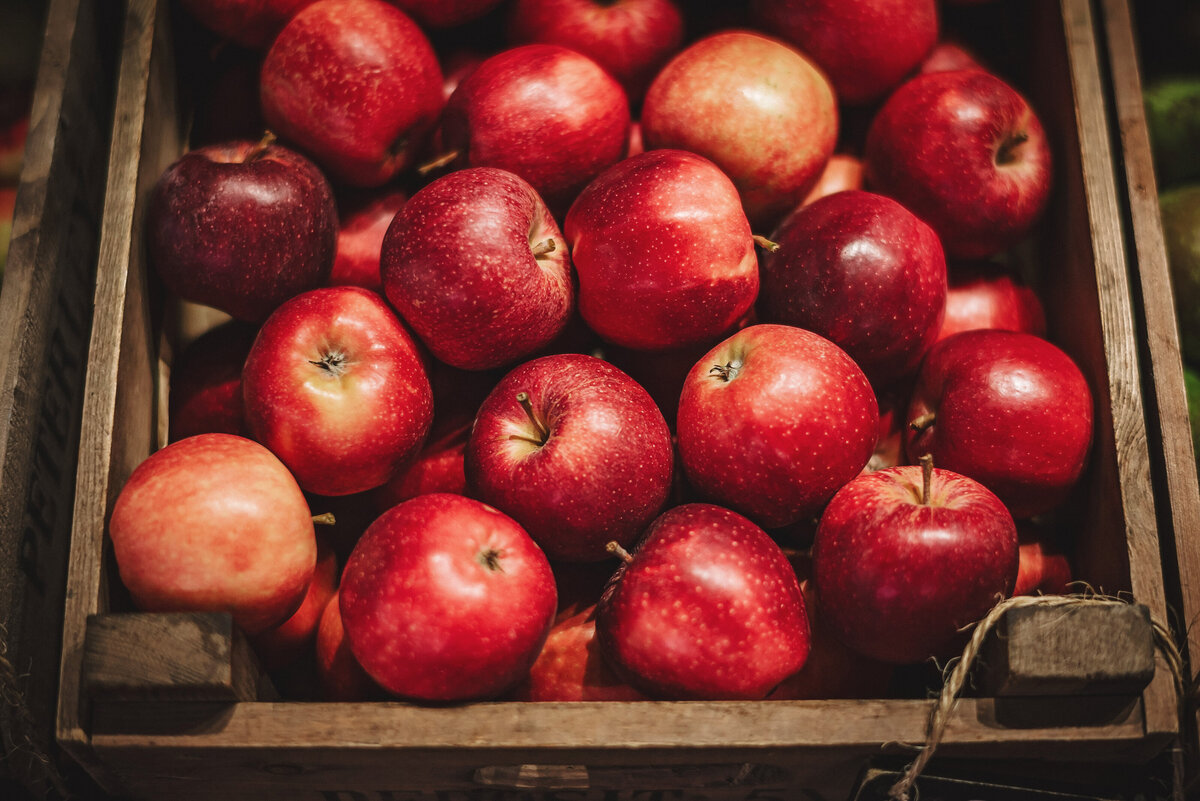 Farm shop (77 of 100)