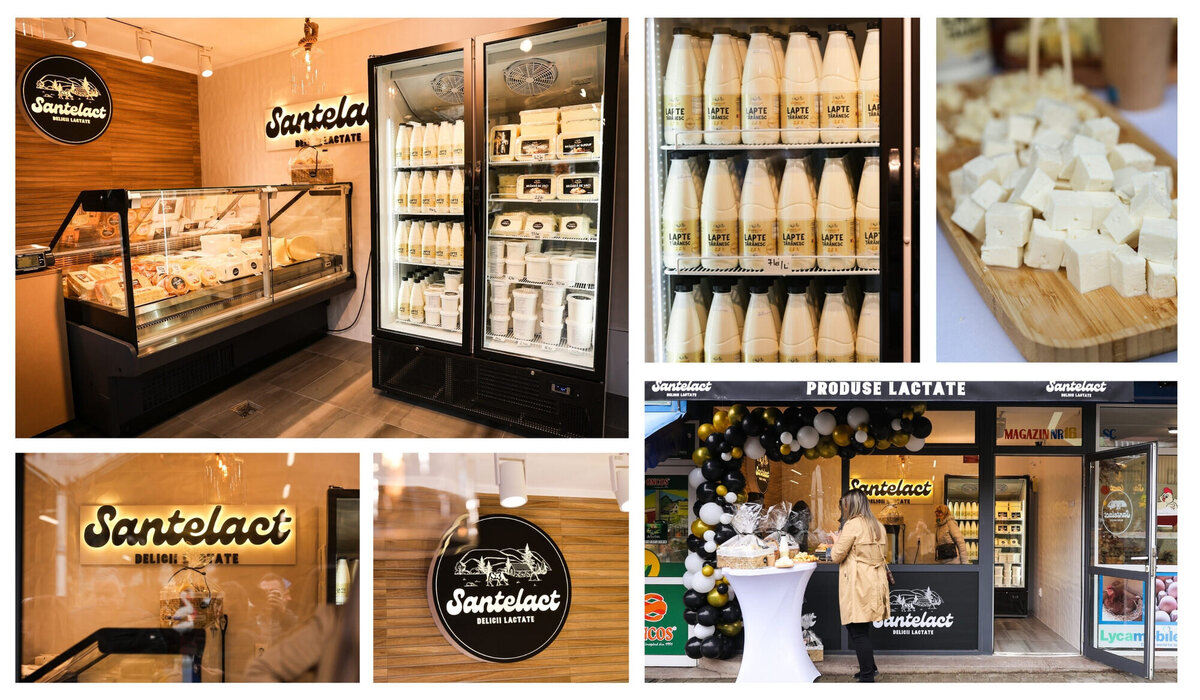 brand design for dairy company26