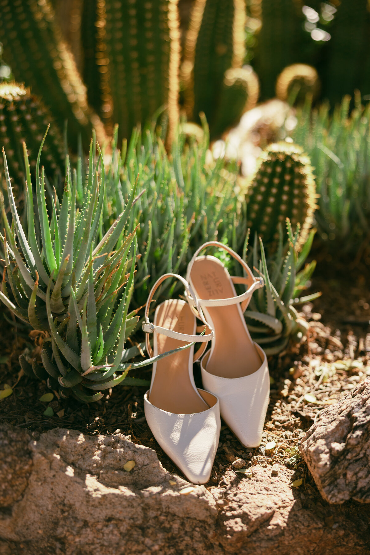 caitlin_audrey_photography (5 of 123)