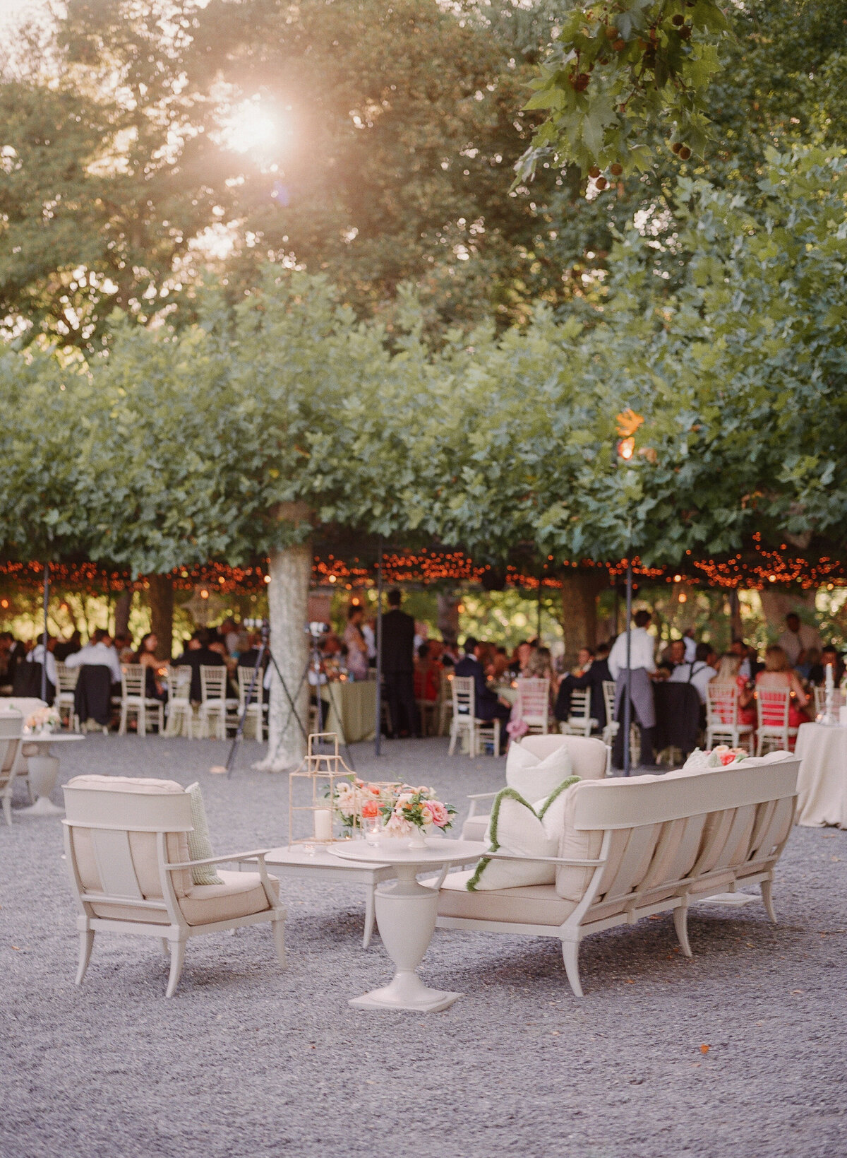 meg-smith-napa-wedding-beaulieuu-garden00042