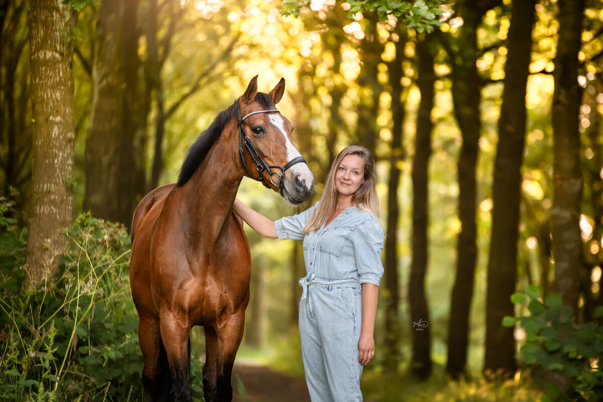 paardenfotograaf friesland (5)