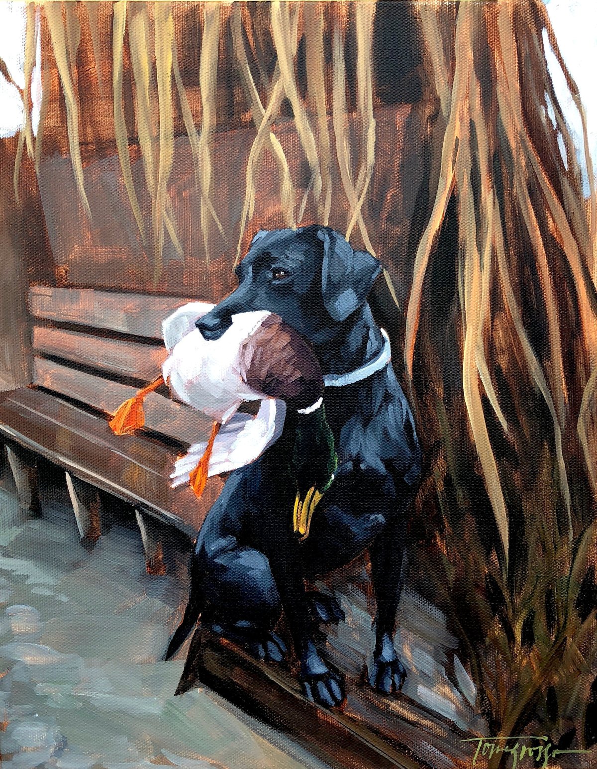 custom pet portrait black lab in marsh with duck
