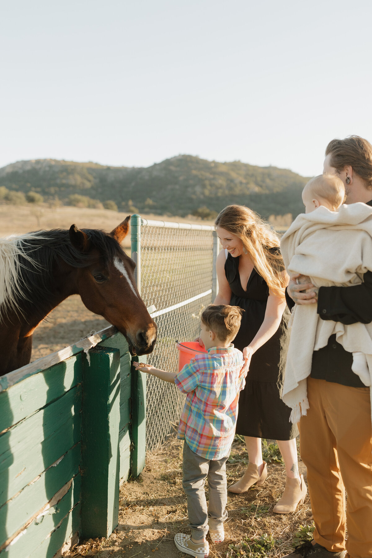 A family feeding horses on a farm