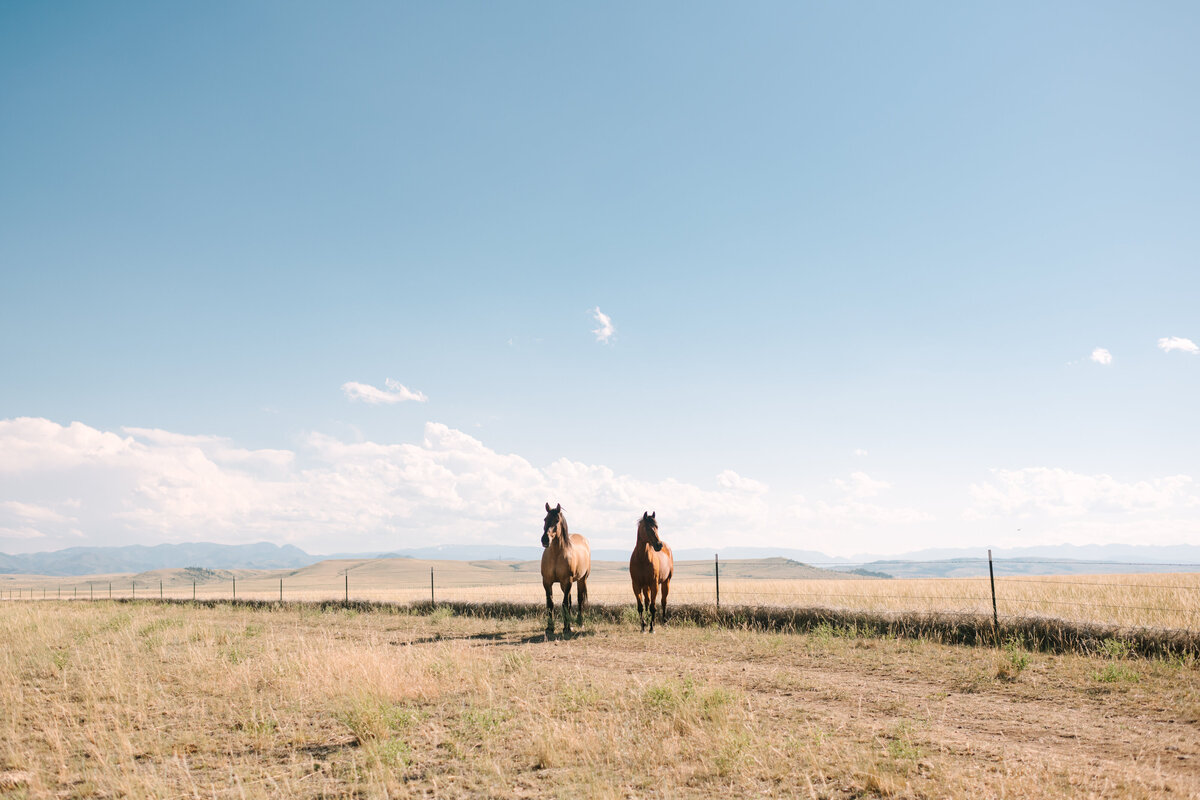 Montana Wedding Photographer - Ashley Dye- CassLee-8952