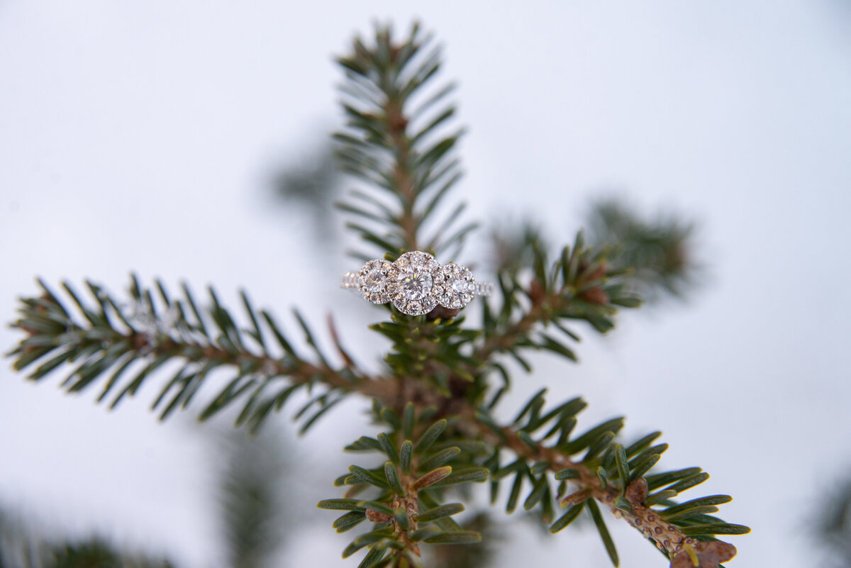 Diamond engagement ring in winder on a pine tree
