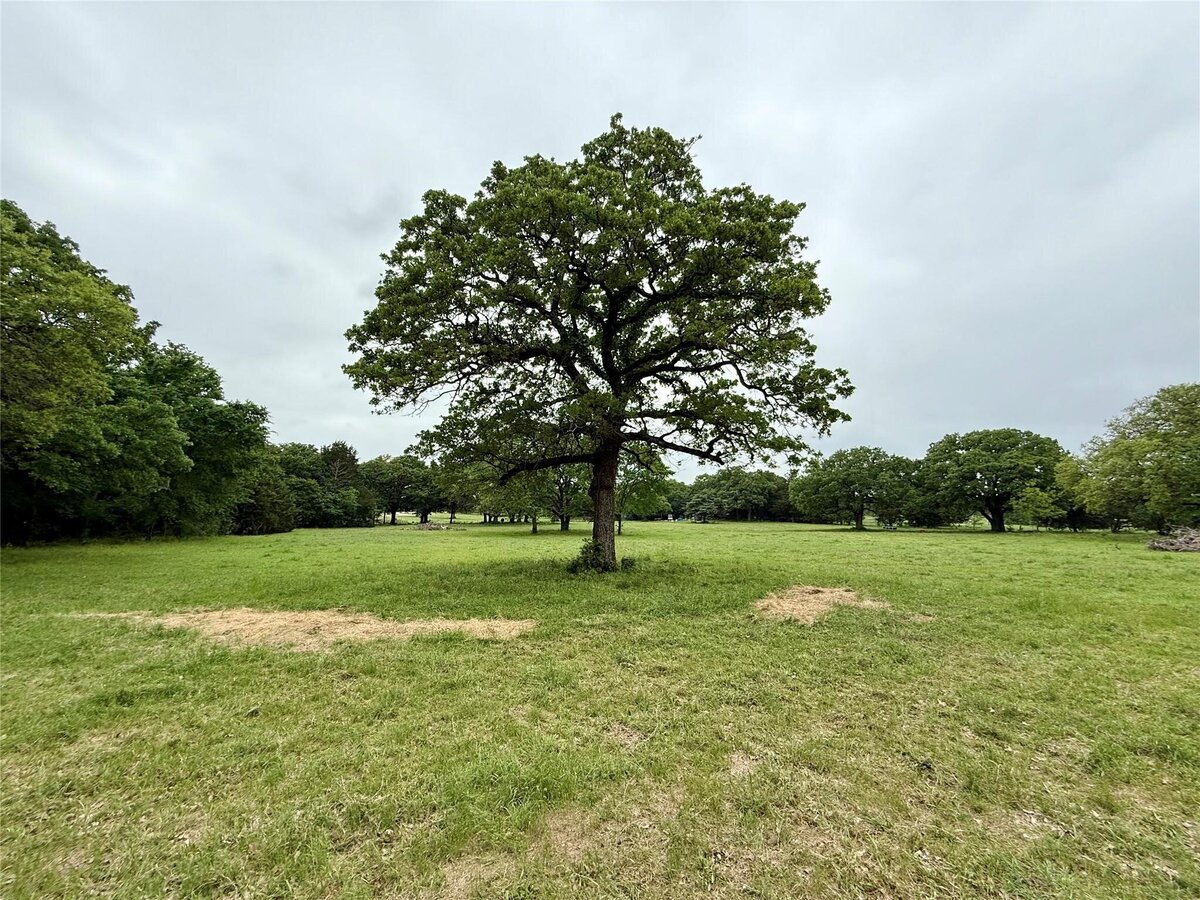 Aerial view of 16 acres with mature trees and pond in Collinsville, TX