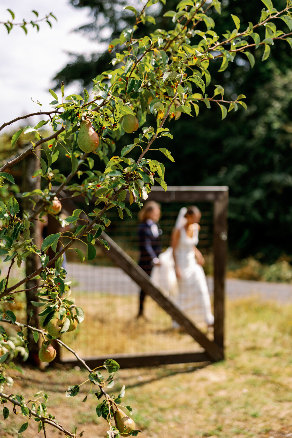 Saltwater Farm San Juan Island Wedding