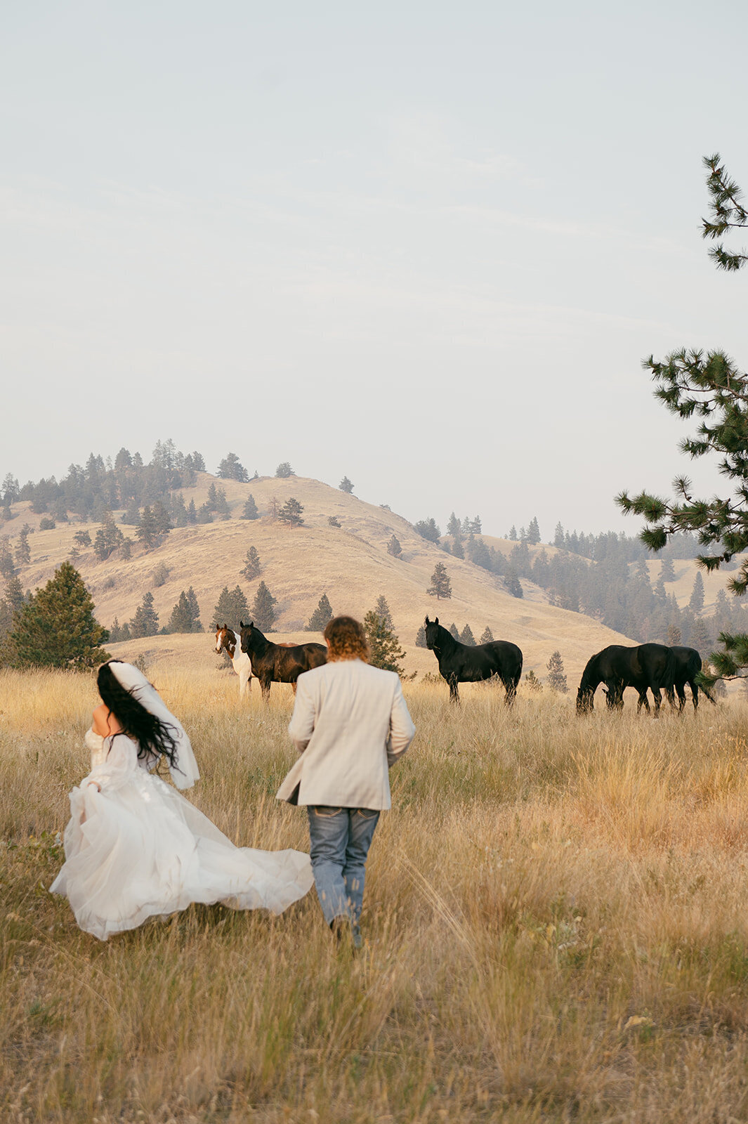 presley-gray-photo-wild-horse-montana-elopement-0181