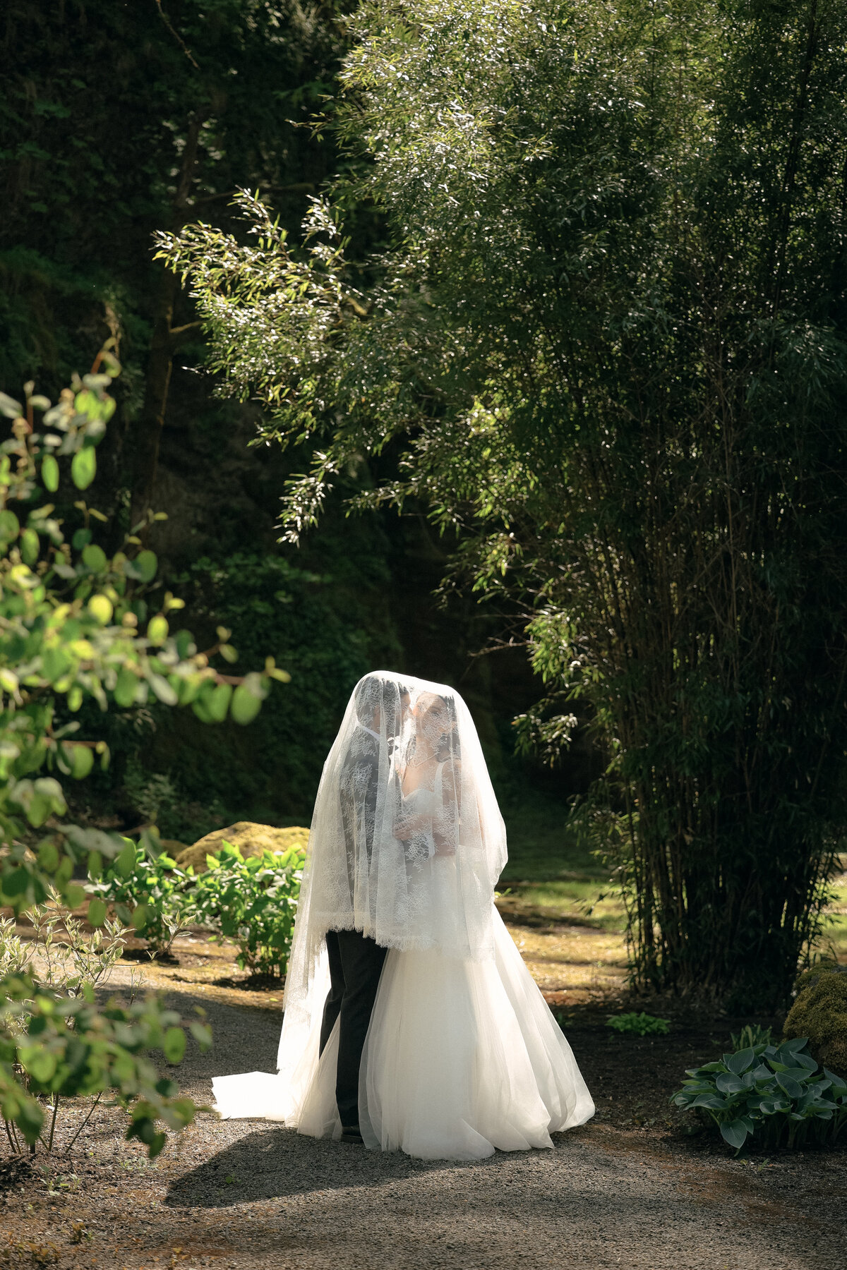 Wedding couple veil photo