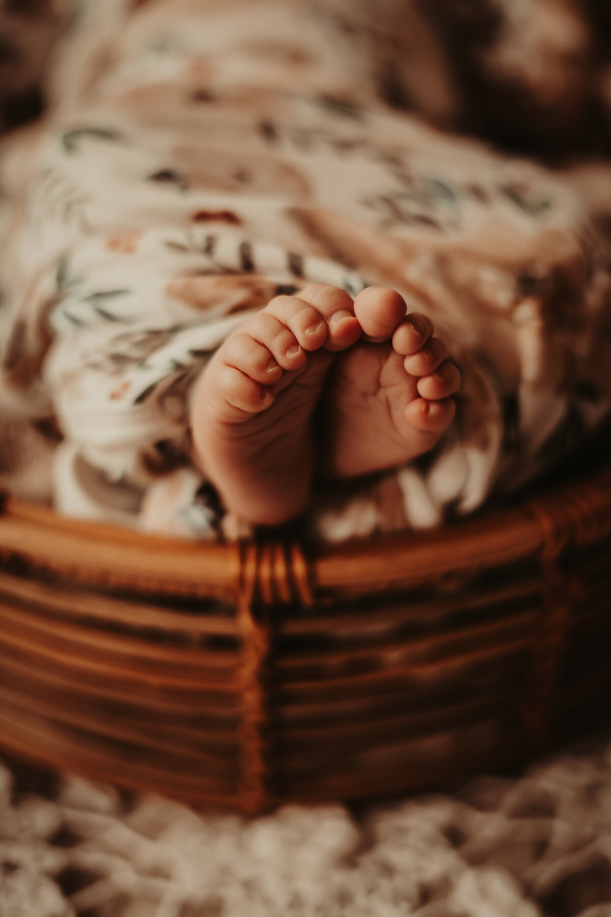 boho newborn