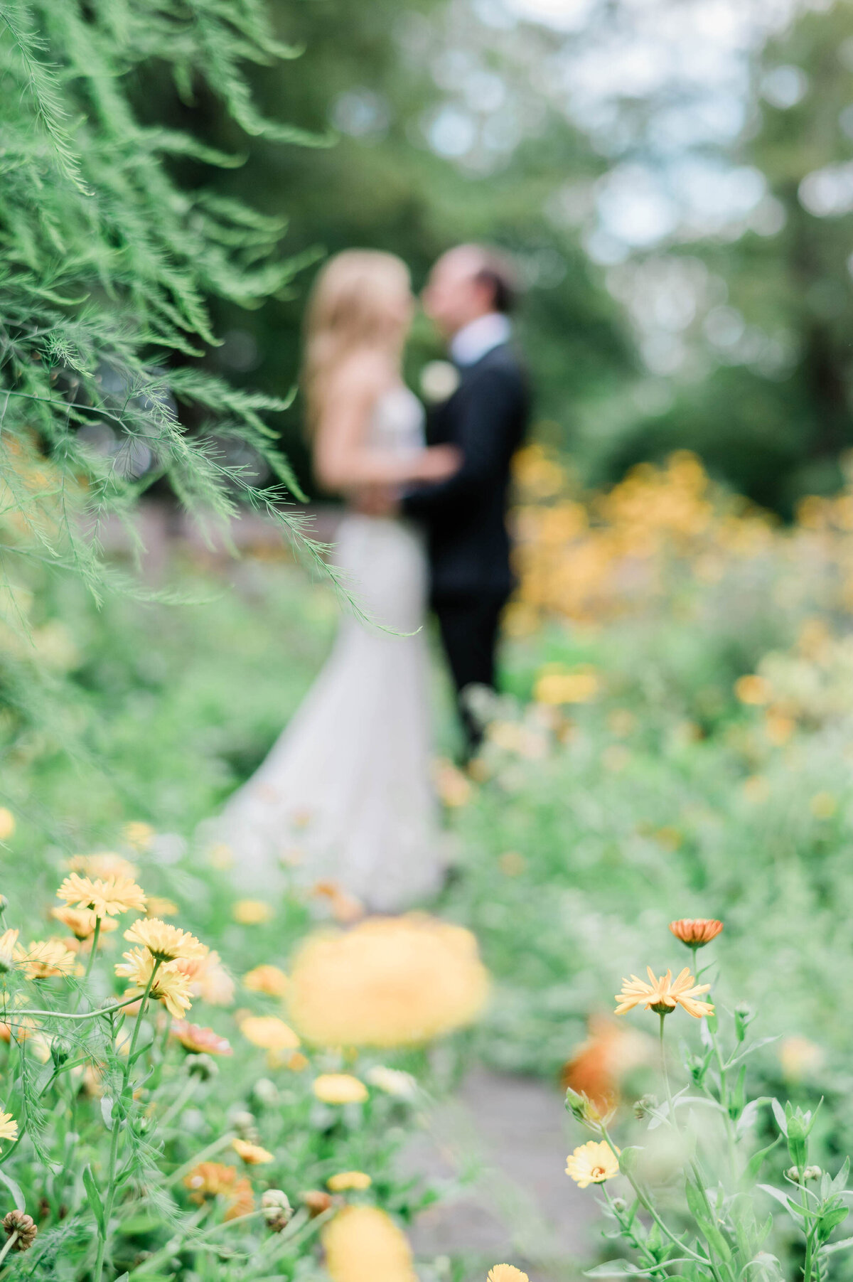 Yellow flowers in front of the bride and groom