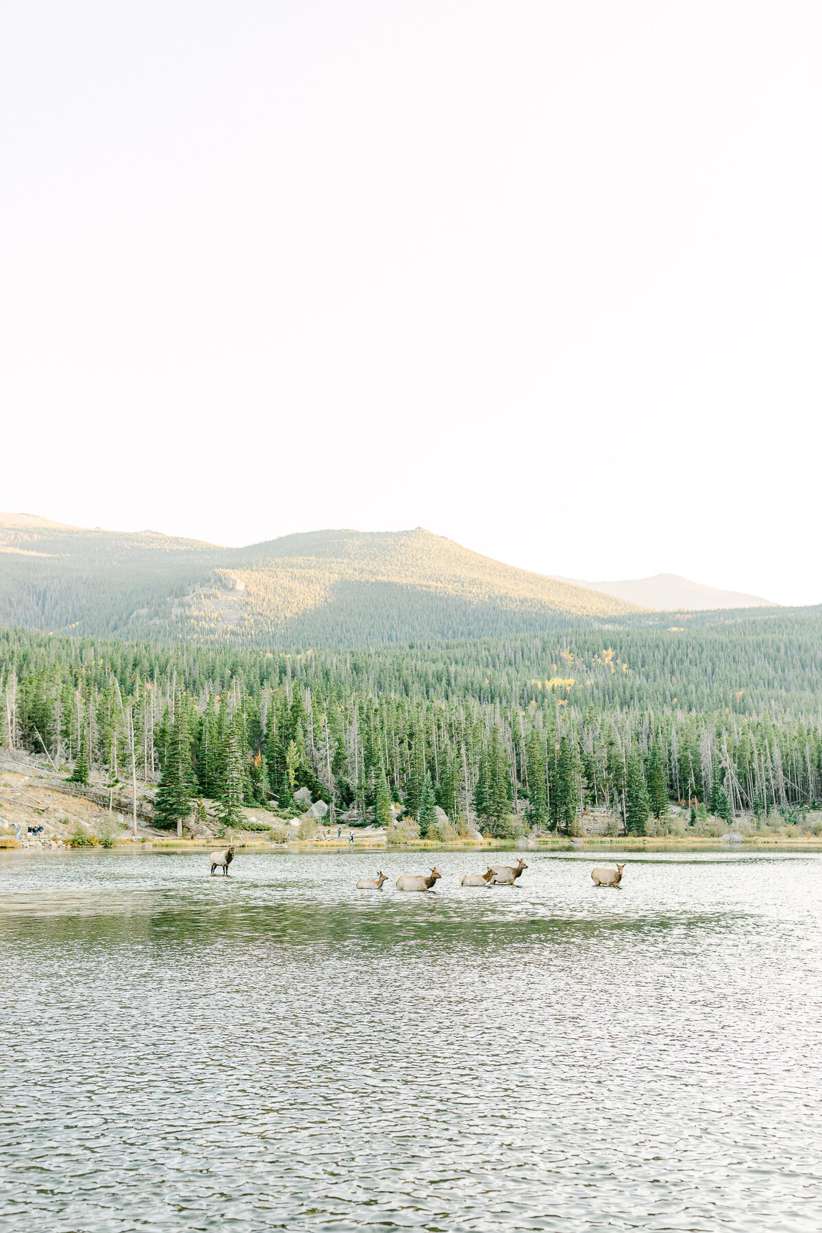 Leidy and Josh Photography | Rocky Mountain Colorado Engagement-23