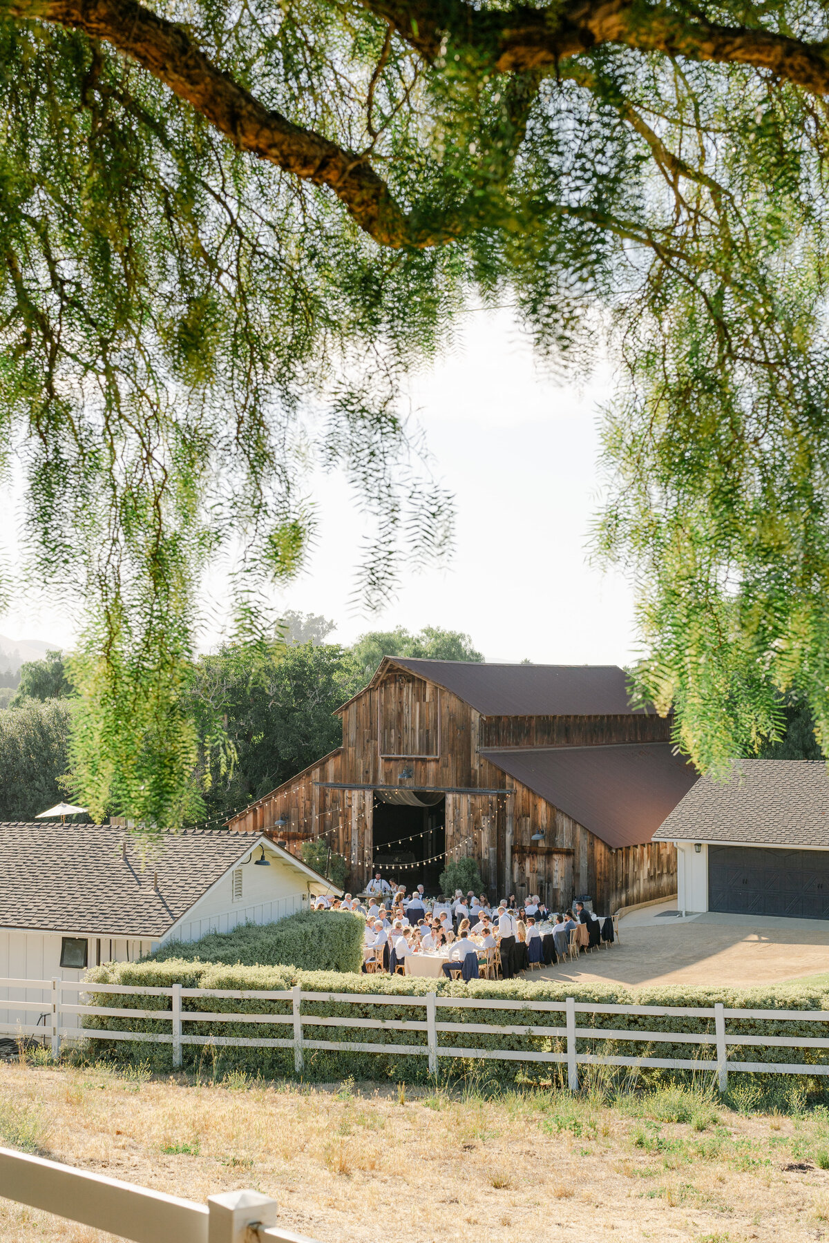 meganwelker-Jones-reception-45