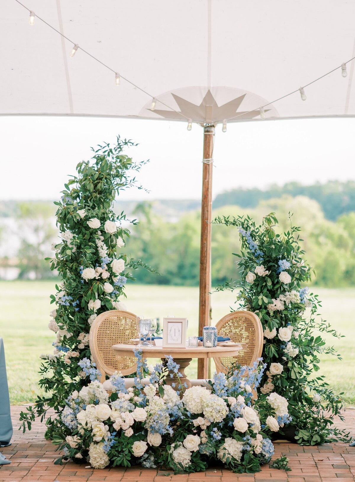 Charleston-and-Washington-DC-Wedding-Photographer-Brittland-Estates-Emily-and-Sam-35