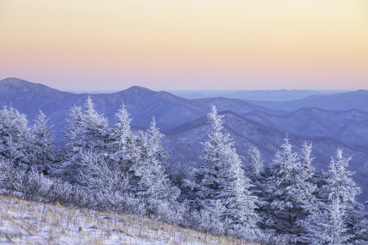 Roan Mountain Covered in Snow by Michael Kaal Photography 