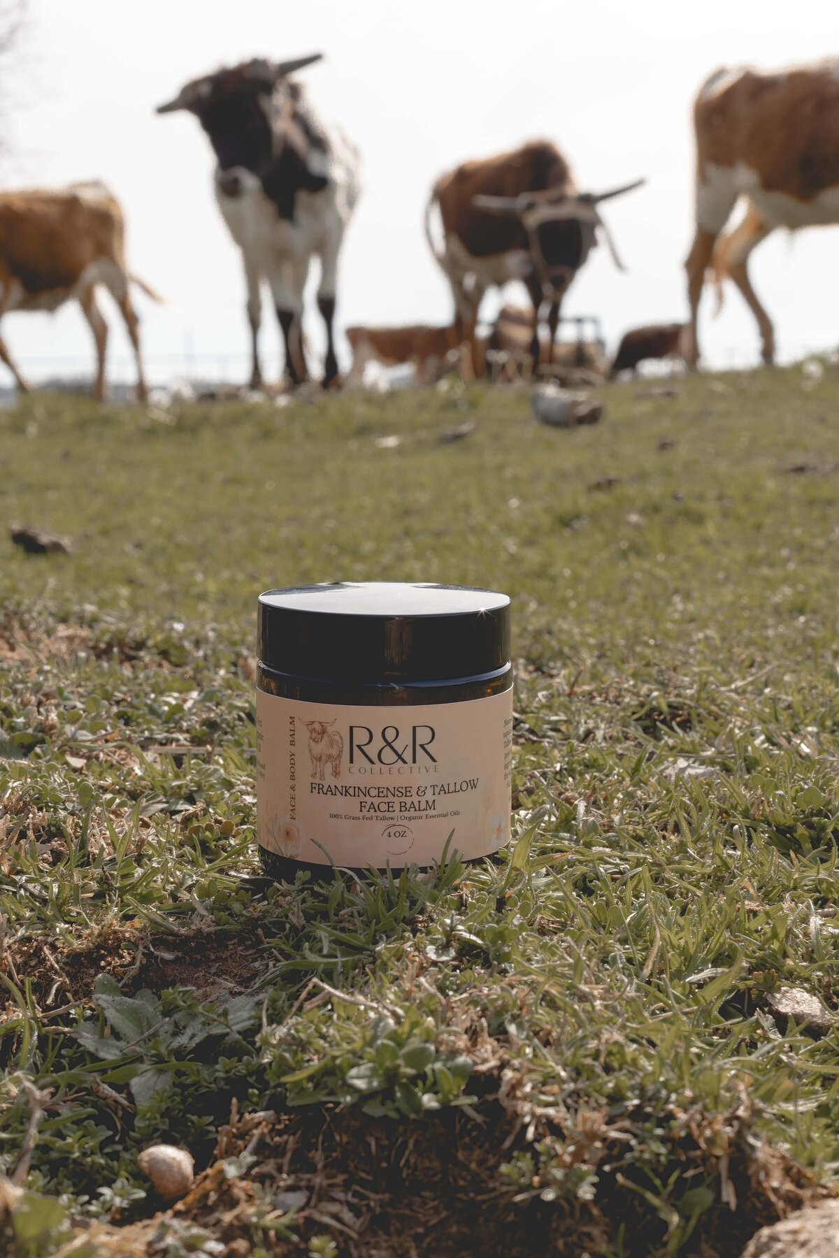 Product R&R Collective-5SSS