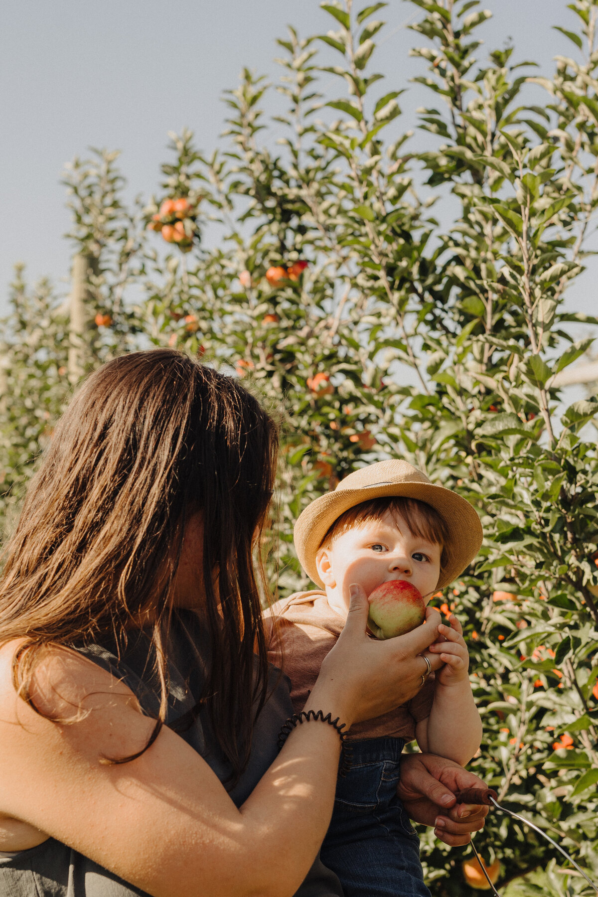 Mother holding young son on hip helps him take a bit of a freshly picked apple in the orchard.