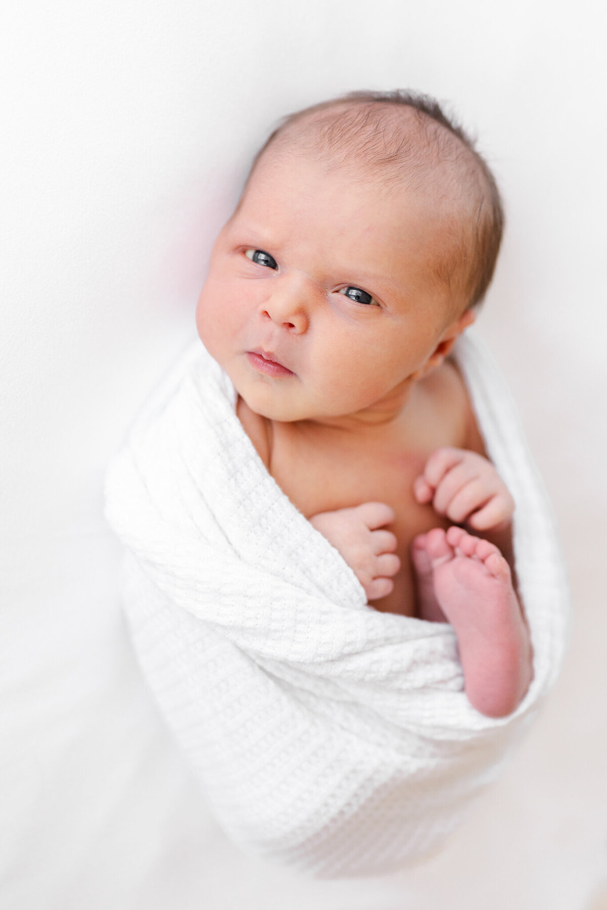 san-francisco-bay-area-newborn-photographer-262