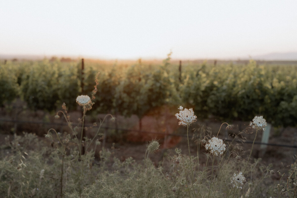 Mallorca Wedding-101