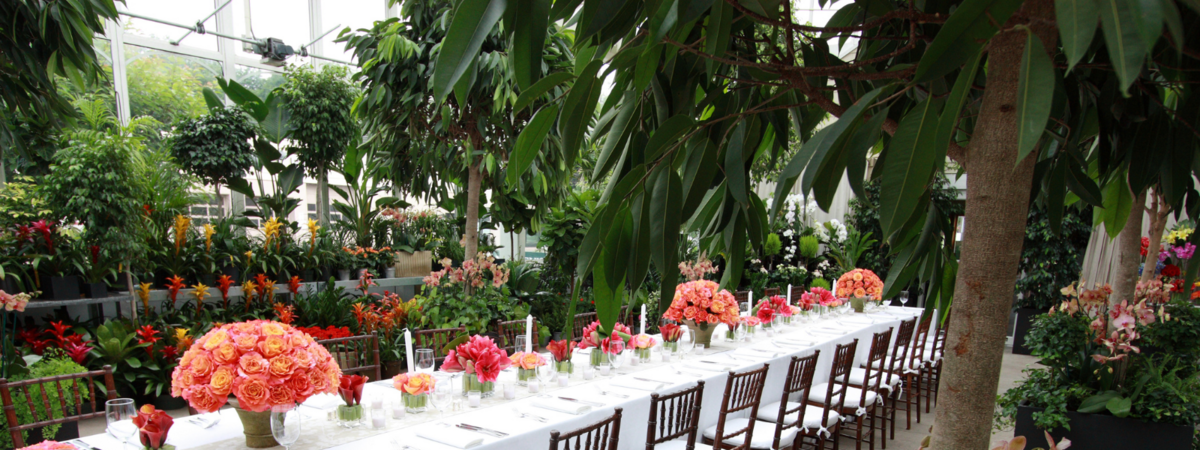 nielsens-greenhouse-and-garden-ct-event-venue-5