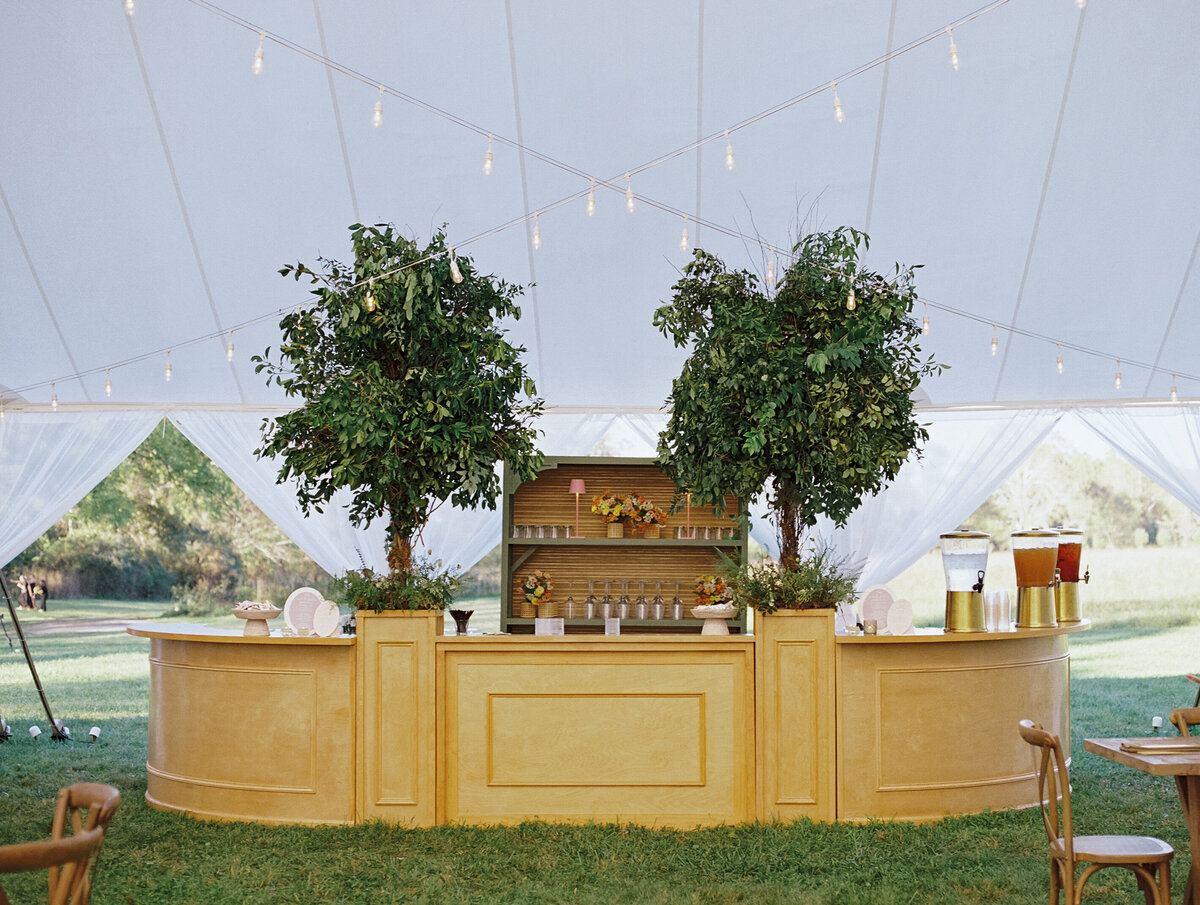Omni-Homestead-Wedding-Planner-Hot-Springs-50