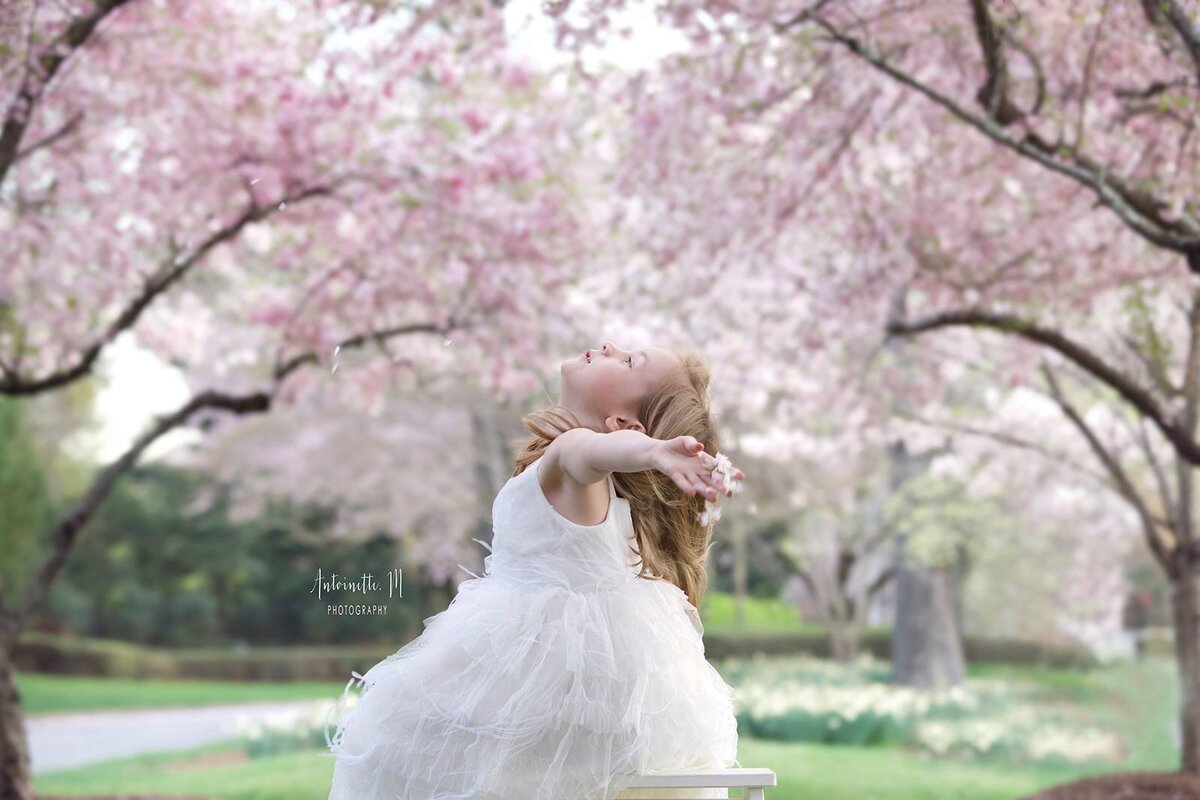 57368787_1161943150674398_3107439216959684608_n