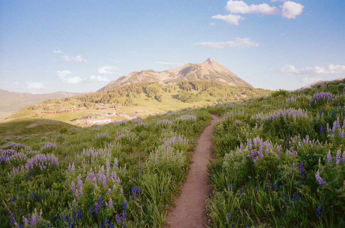 CB, Teddy's Evening-5