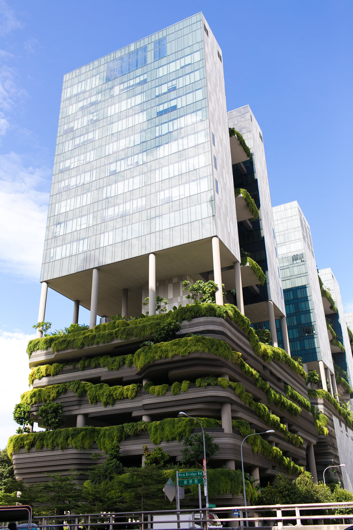 2017July-Singapore-0131