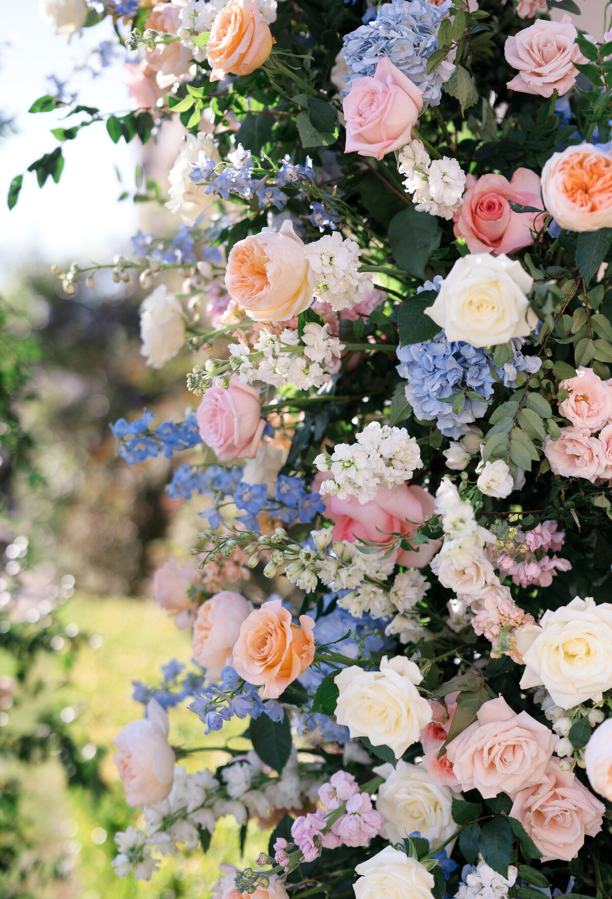ReaganWrightPhotography-Sydney&amp_ChadSneakPeek-6825