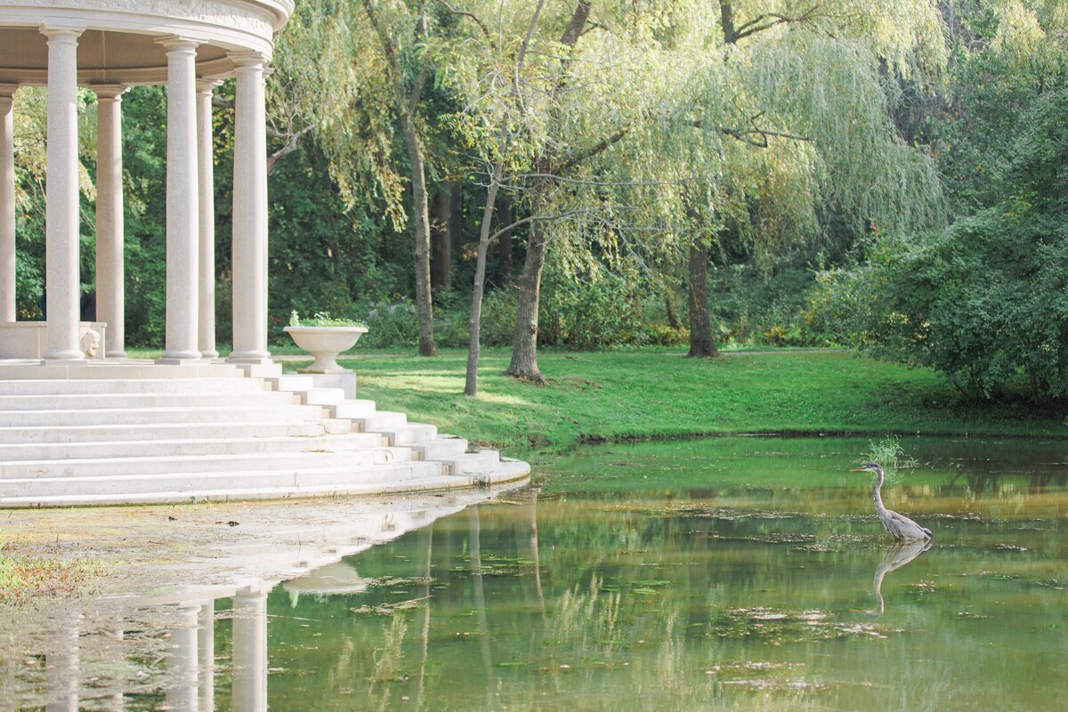 Blue heron and tempietto at Larz Anderson Park