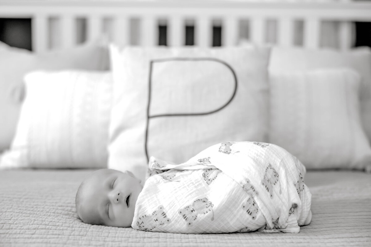 Powell Newborn-53