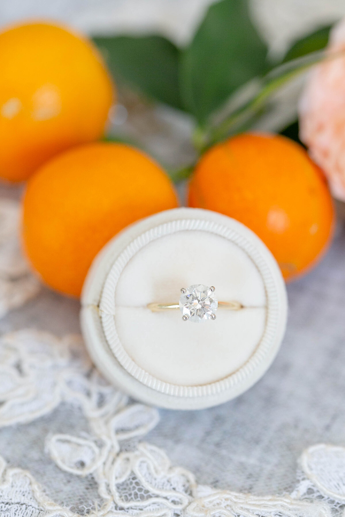 Sarah Morgan & Grant Wedding 1364